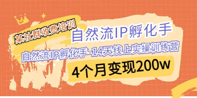 某社群收费培训：自然流IP 孵化手-14天线上实操训练营 4个月变现200w副业联盟-网创项目资源站-副业项目-创业项目-搞钱项目副业联盟