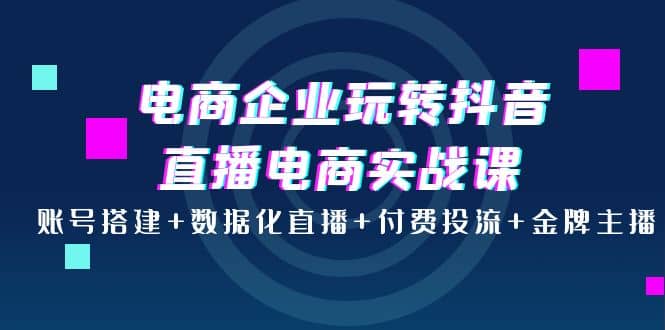 电商企业玩转抖音直播电商实战课：账号搭建+数据化直播+付费投流+金牌主播副业联盟-网创项目资源站-副业项目-创业项目-搞钱项目副业联盟