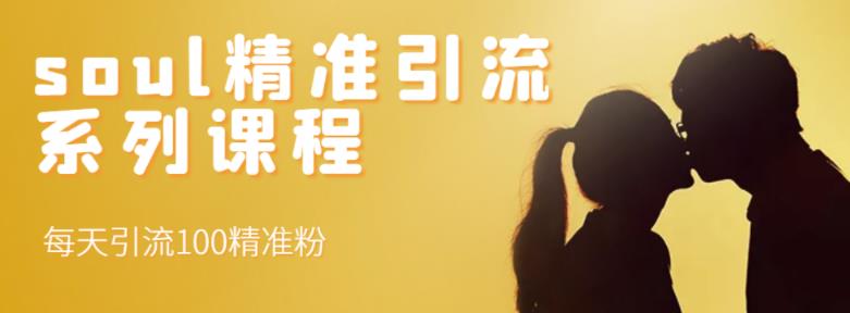 soul精准引流系列课程，每天引流100精准粉副业联盟-网创项目资源站-副业项目-创业项目-搞钱项目副业联盟