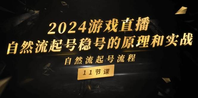 2024游戏直播-自然流起号稳号的原理和实战，自然流起号流程（11节）副业联盟-网创项目资源站-副业项目-创业项目-搞钱项目副业联盟