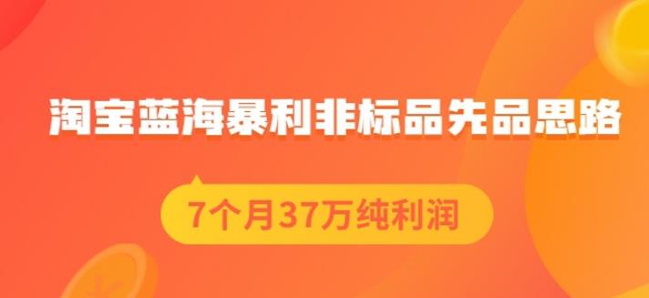盗坤淘宝蓝海暴利非标品先品思路，7个月37万纯利润，压箱干货分享！【付费文章】副业联盟-网创项目资源站-副业项目-创业项目-搞钱项目副业联盟