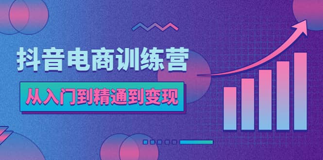 抖音电商训练营：从入门到精通，从账号定位到流量变现，抖店运营实操副业联盟-网创项目资源站-副业项目-创业项目-搞钱项目副业联盟