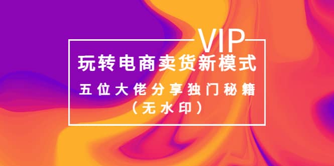 某收费培训：玩转电商卖货新模式，五位大佬分享独门秘籍（无水印）副业联盟-网创项目资源站-副业项目-创业项目-搞钱项目副业联盟