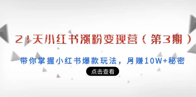 21天小红书涨粉变现营（第3期）：带你掌握小红书爆款玩法，月赚10W+秘密副业联盟-网创项目资源站-副业项目-创业项目-搞钱项目副业联盟