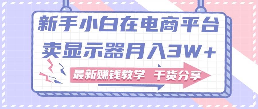 新手小白如何做到在电商平台卖显示器月入3W+，最新赚钱教学干货分享副业联盟-网创项目资源站-副业项目-创业项目-搞钱项目副业联盟