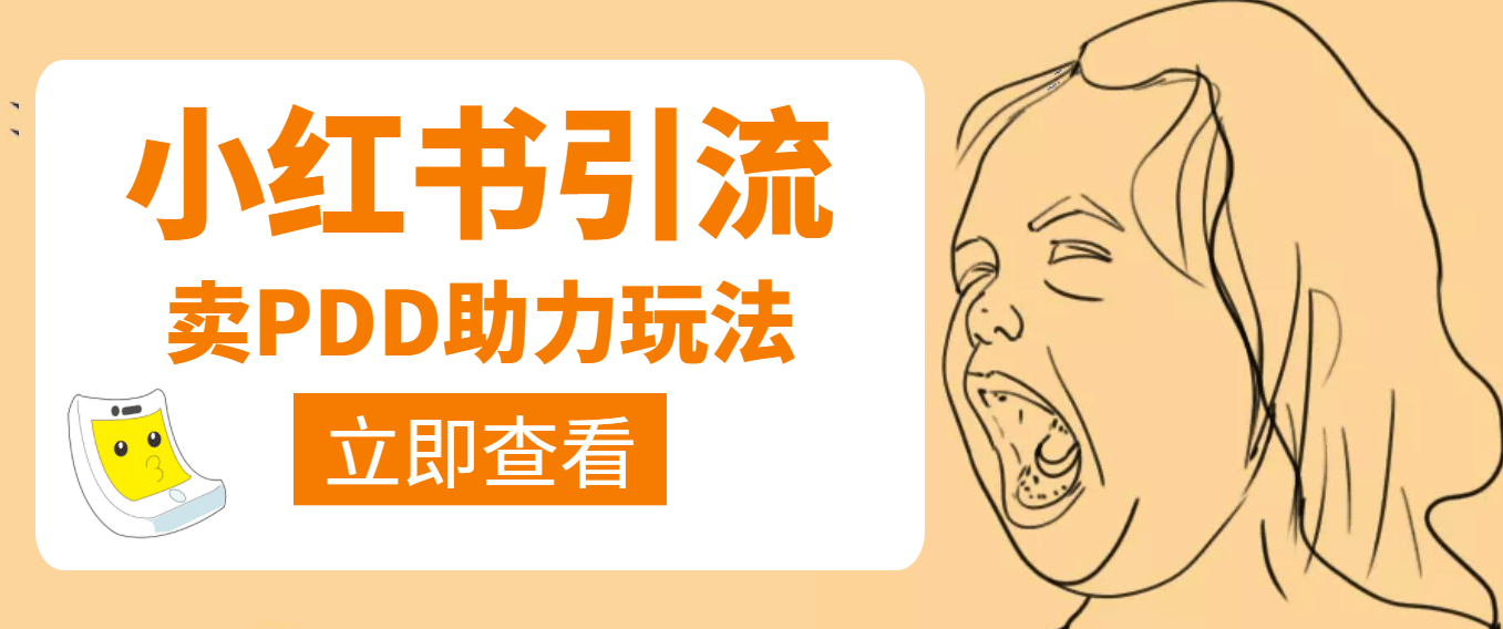 利用小红书卖拼多多助力副业联盟-网创项目资源站-副业项目-创业项目-搞钱项目副业联盟