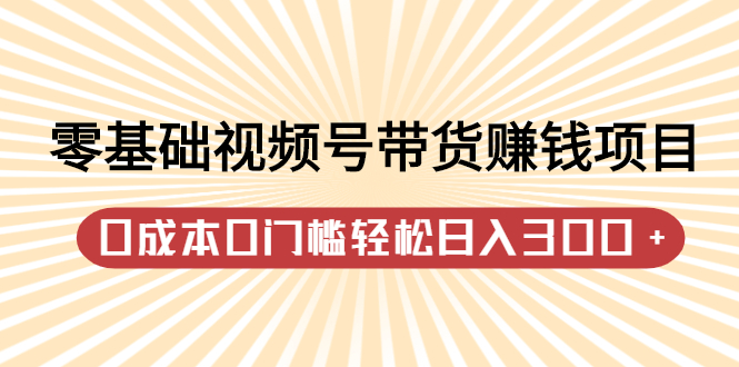 零基础视频号带货赚钱项目，0成本0门槛轻松日入300+【视频教程】副业联盟-网创项目资源站-副业项目-创业项目-搞钱项目副业联盟