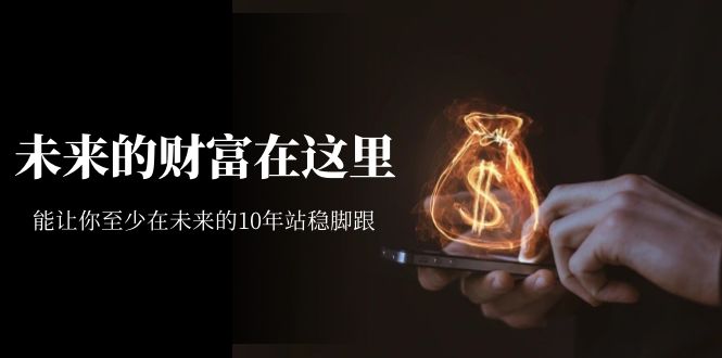 某收费文章《未来的财富在这里》能让你至少在未来的10年站稳脚跟副业联盟-网创项目资源站-副业项目-创业项目-搞钱项目副业联盟