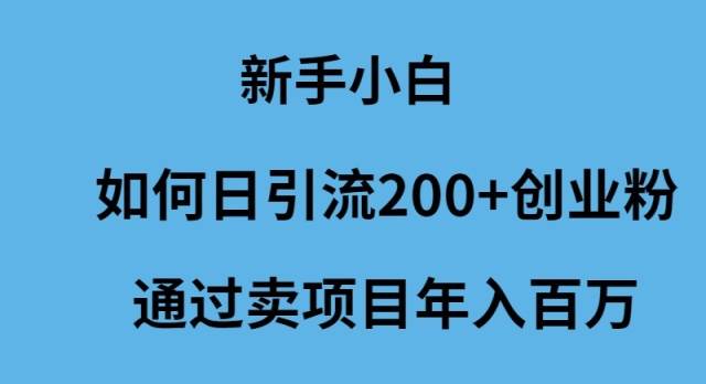 新手小白如何日引流200+创业粉通过卖项目年入百万副业联盟-网创项目资源站-副业项目-创业项目-搞钱项目副业联盟