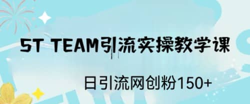 ST TEAM引流实操课，日引流网创粉100+副业联盟-网创项目资源站-副业项目-创业项目-搞钱项目副业联盟