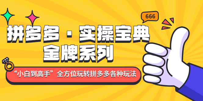 拼多多·实操宝典：金牌系列“小白到高手”带你全方位玩转拼多多各种玩法副业联盟-网创项目资源站-副业项目-创业项目-搞钱项目副业联盟