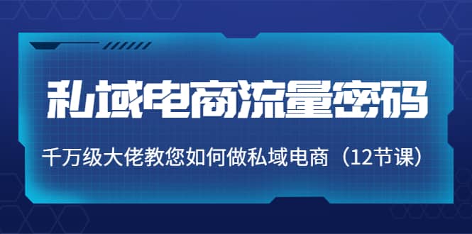 私域电商流量密码：千万级大佬教您如何做私域电商（12节课）副业联盟-网创项目资源站-副业项目-创业项目-搞钱项目副业联盟