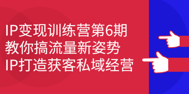 IP变现训练营第6期：教你搞流量新姿势，IP打造获客私域经营副业联盟-网创项目资源站-副业项目-创业项目-搞钱项目副业联盟