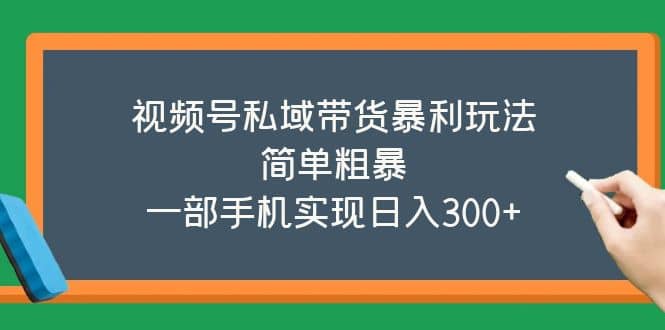 视频号私域带货暴利玩法，简单粗暴副业联盟-网创项目资源站-副业项目-创业项目-搞钱项目副业联盟