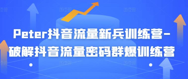 Peter抖音流量新兵训练营-破解抖音流量密码群爆训练营（新兵）副业联盟-网创项目资源站-副业项目-创业项目-搞钱项目副业联盟