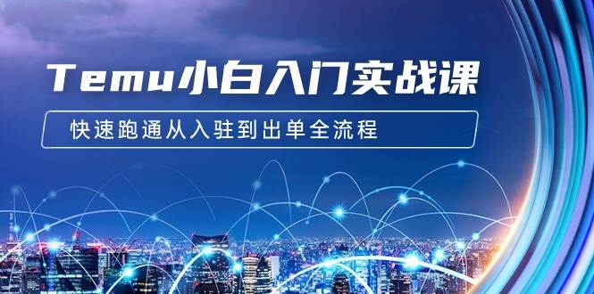 Temu小白入门实战课：跨境拼多多电商培训 快速跑通从入驻到出单全流程-12节副业联盟-网创项目资源站-副业项目-创业项目-搞钱项目副业联盟