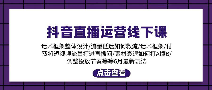 抖音直播运营线下课：话术框架/付费流量直播间/素材A撞B/等6月新玩法副业联盟-网创项目资源站-副业项目-创业项目-搞钱项目副业联盟