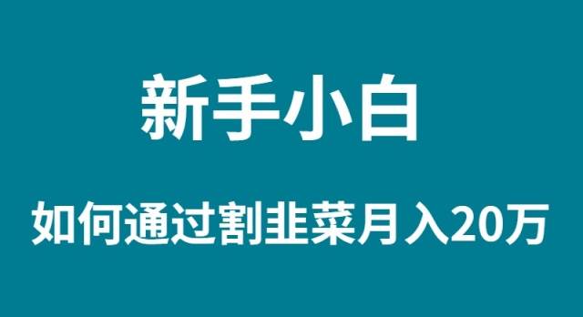 新手小白如何通过割韭菜月入 20W副业联盟-网创项目资源站-副业项目-创业项目-搞钱项目副业联盟