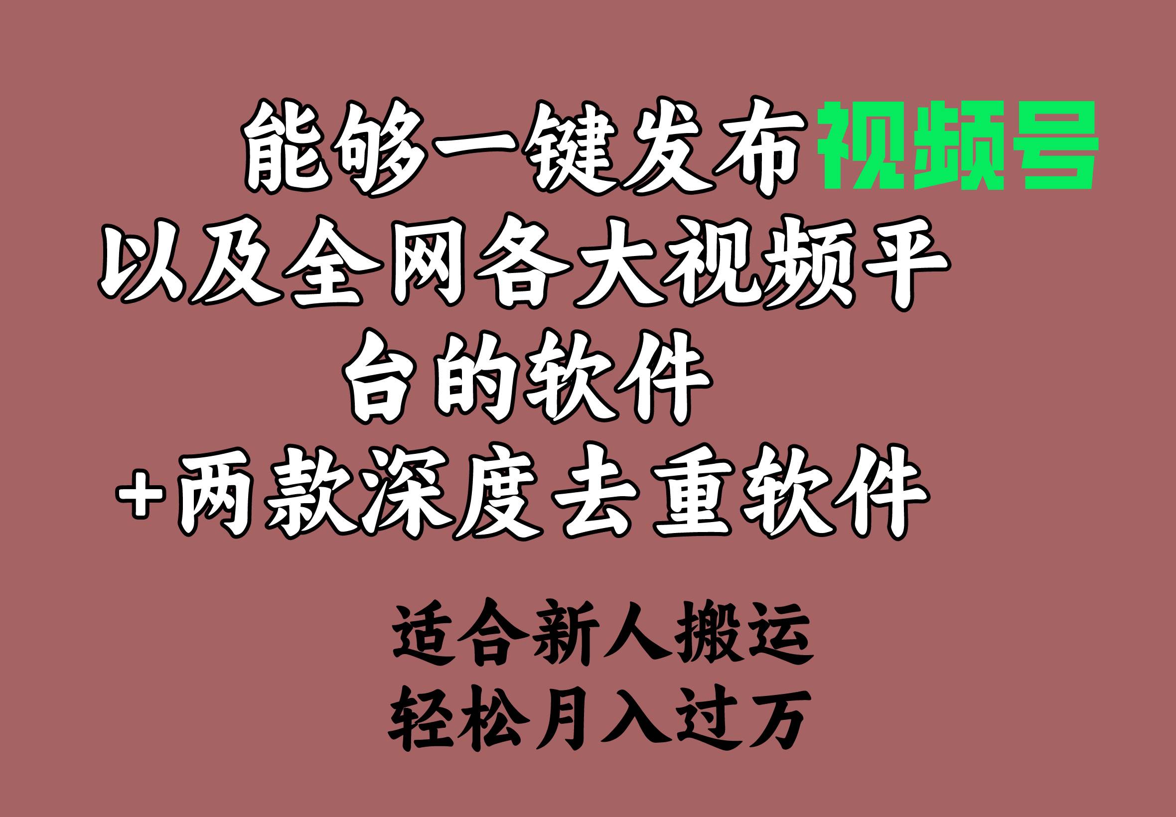 能够一键发布视频号以及全网各大视频平台的软件+两款深度去重软件 适合…副业联盟-网创项目资源站-副业项目-创业项目-搞钱项目副业联盟