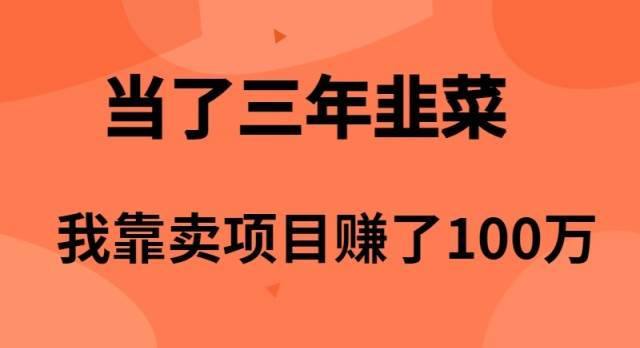 当了3年韭菜，我靠卖项目赚了100万副业联盟-网创项目资源站-副业项目-创业项目-搞钱项目副业联盟