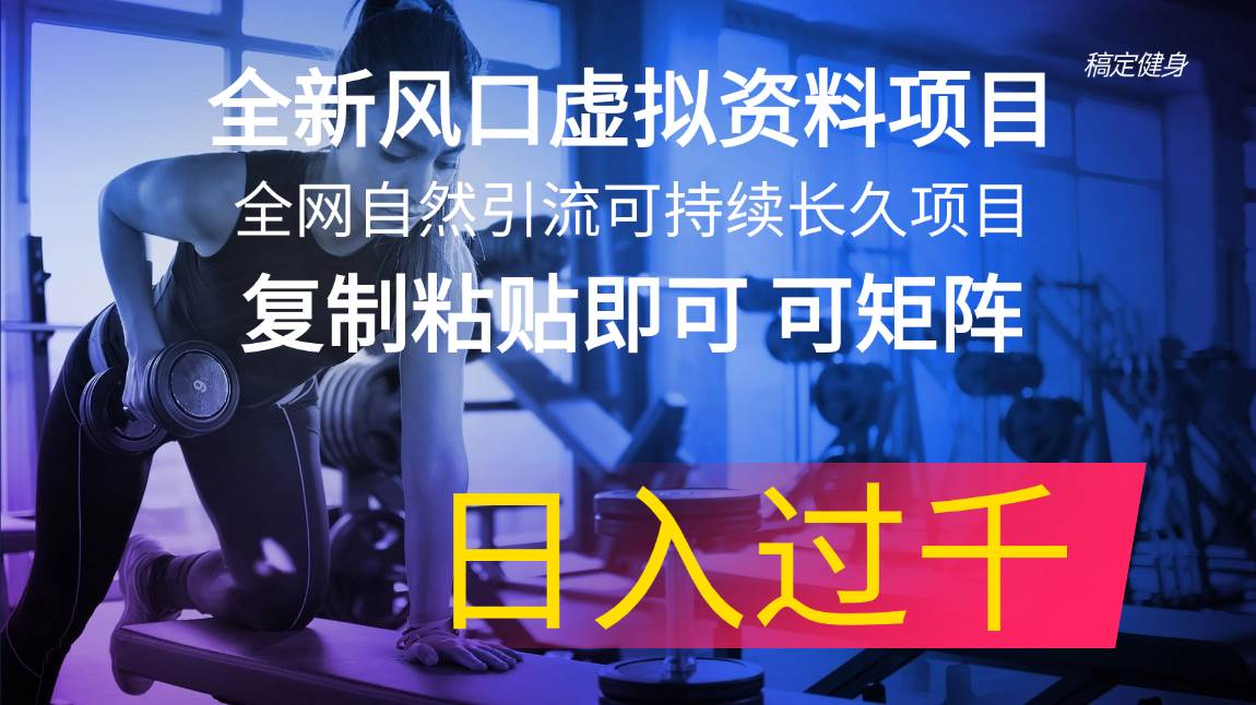 全新风口虚拟资料项目 全网自然引流可持续长久项目 复制粘贴即可可矩阵…副业联盟-网创项目资源站-副业项目-创业项目-搞钱项目副业联盟