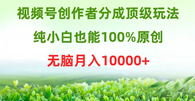 视频号创作者分成顶级玩法，纯小白也能100%原创，无脑月入10000+副业联盟-网创项目资源站-副业项目-创业项目-搞钱项目副业联盟