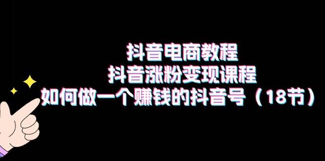 抖音电商教程：抖音涨粉变现课程：如何做一个赚钱的抖音号（18节）副业联盟-网创项目资源站-副业项目-创业项目-搞钱项目副业联盟