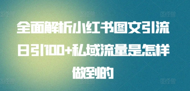 暴力引流 小红书图文引流日引100私域全面拆解【打粉人必看】副业联盟-网创项目资源站-副业项目-创业项目-搞钱项目副业联盟