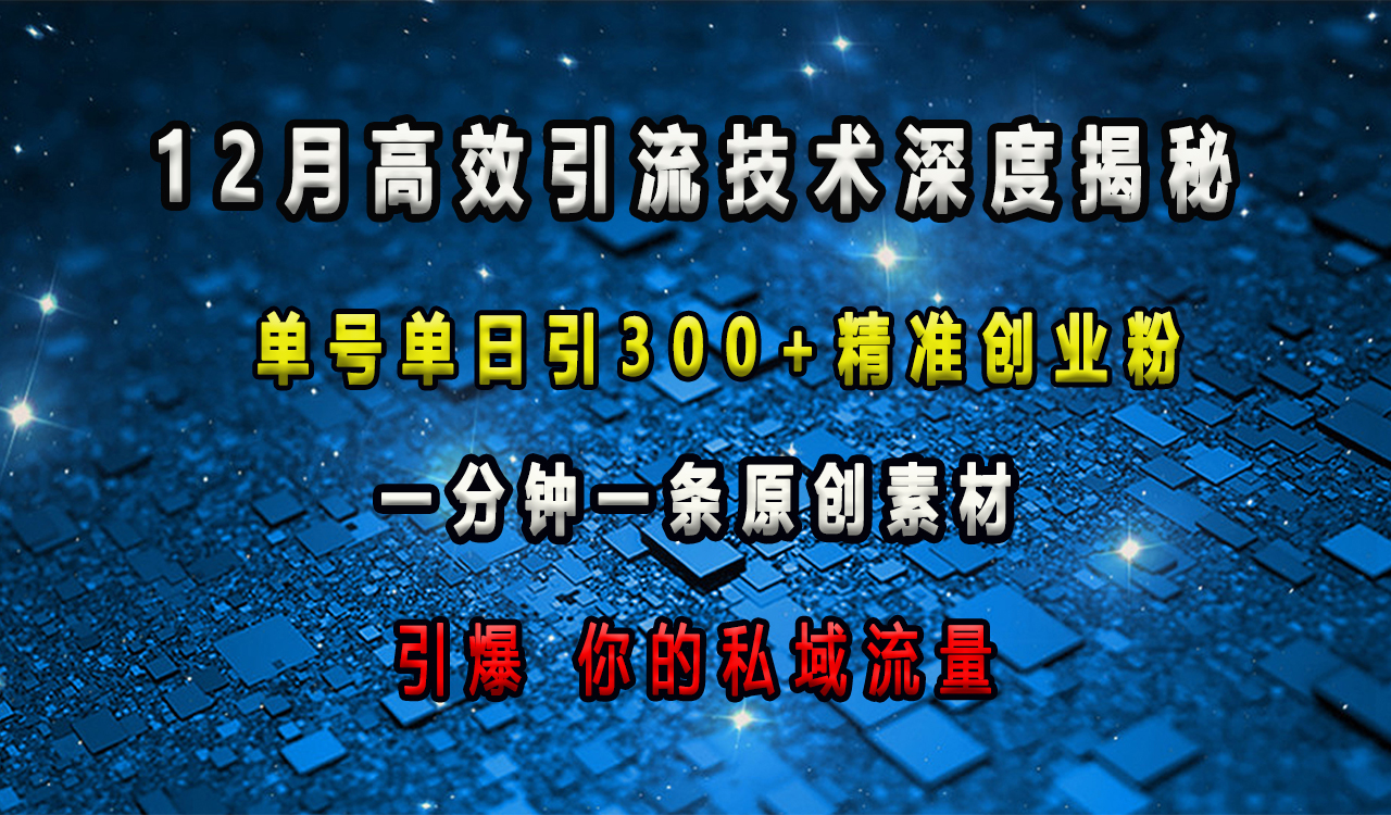 12月高效引流技术深度揭秘 ，单号单日引300+精准创业粉，一分钟一条原创素材，引爆你的私域流量副业联盟-网创项目资源站-副业项目-创业项目-搞钱项目副业联盟