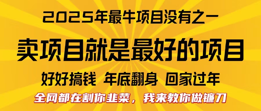 全网都在割你韭菜，我来教你做镰刀。卖项目就是最好的项目，2025年最牛互联网项目副业联盟-网创项目资源站-副业项目-创业项目-搞钱项目副业联盟