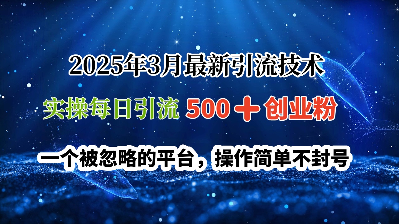2025年3月最新引流技术，实操每日引流500➕创业粉，一个被忽略的平台，操作简单不封号副业联盟-网创项目资源站-副业项目-创业项目-搞钱项目副业联盟