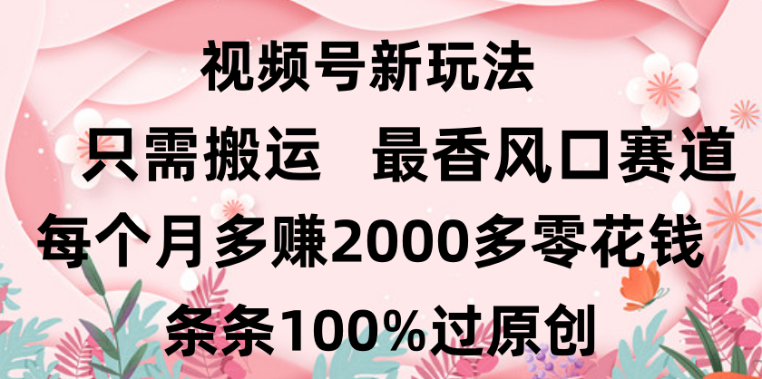 日入2000+，条条100%过原创，视频号最香风口赛道，小白轻松上手副业联盟-网创项目资源站-副业项目-创业项目-搞钱项目副业联盟