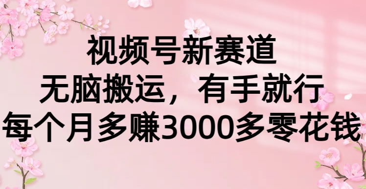 视频号新赛道，无脑搬运，有手就行，每个月多赚3000多零花钱副业联盟-网创项目资源站-副业项目-创业项目-搞钱项目副业联盟